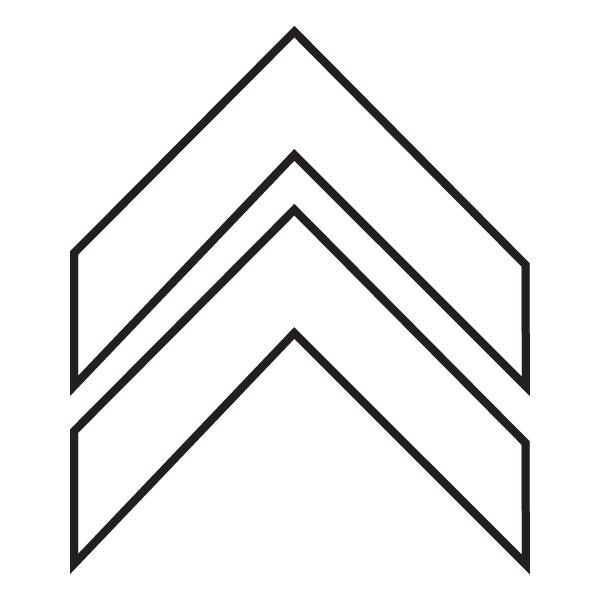 Top Arrow Icon