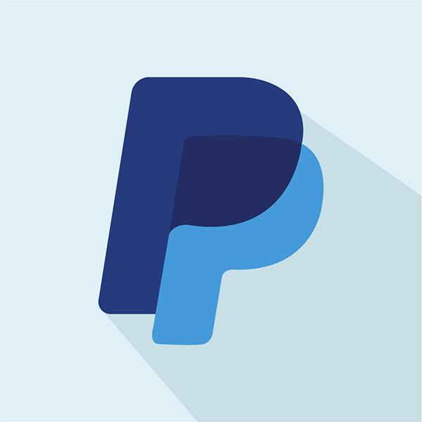 Sky Colour Background Paypal Logo