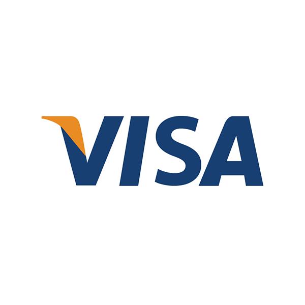 Visa Card Logo