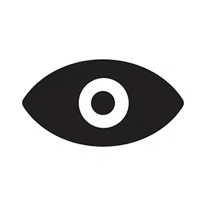 Black Fill Eye Icon