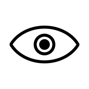 Black Stroke Eye Icon